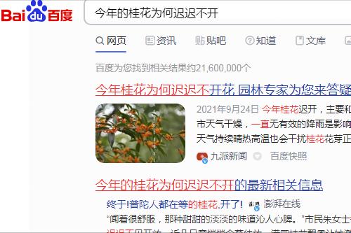 迟开的桂花香味扑鼻,迟到的桂花开歌曲视频