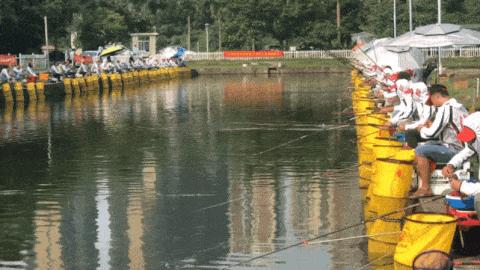 9月8日：华为、比亚迪、富士康、老G鱼饵，联合举办深圳企业联赛