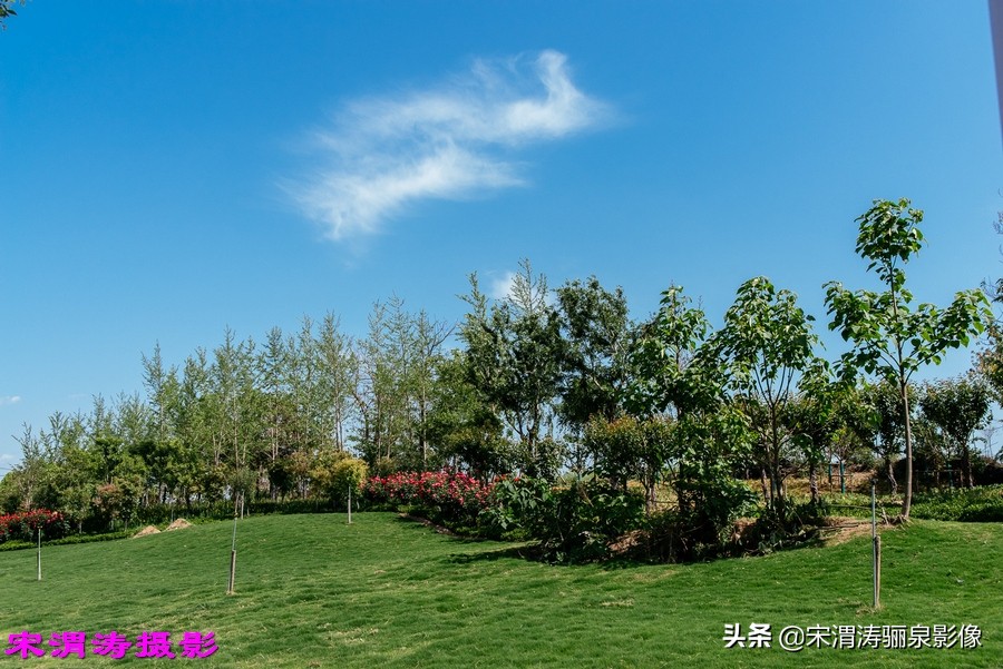 健身休闲绿道,临渭区渭河南堤渭河生态运动公园