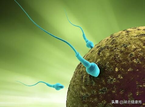 试管婴儿的10个真相,无论好坏都有,这大概是史上最良心的解答