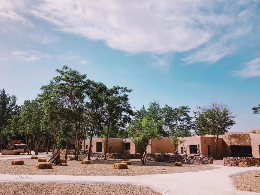 可盐可甜是哪首歌的歌词,可盐可甜出自哪