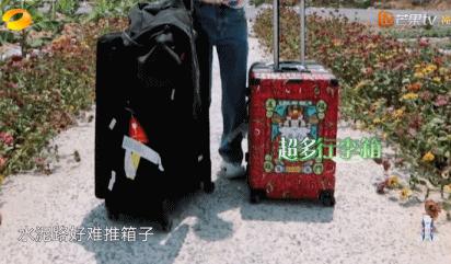 被骂想红，她真的冤