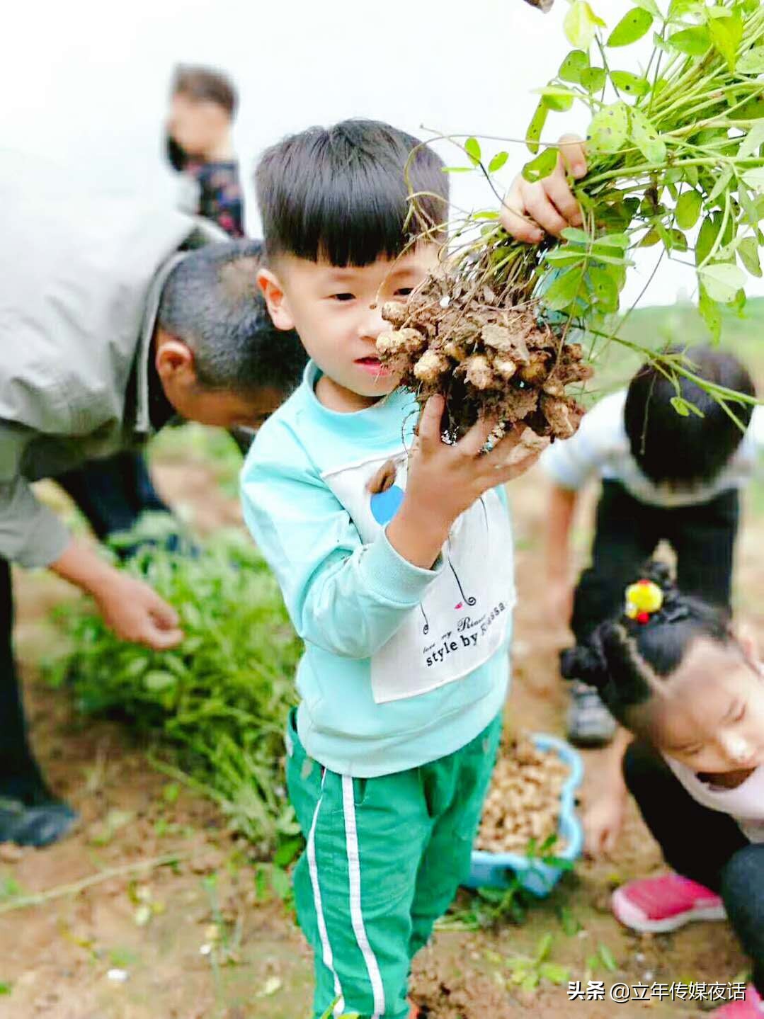 梅花香自苦寒来：济宁金乡春田花花幼稚园园长郑艳香