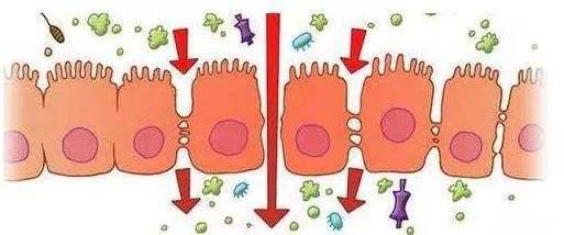 为宝宝提供健康的环境,为宝宝打造健康辅食