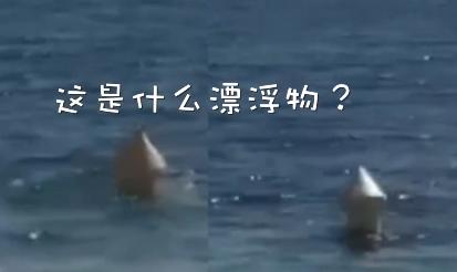 外卖龙虾段子搞笑,外卖的虾是不是都是冻虾