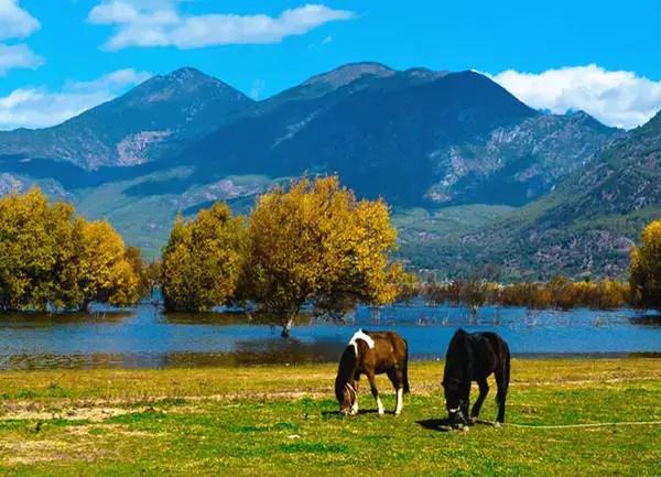 拉市海最快攻略,去拉市海应该怎么玩