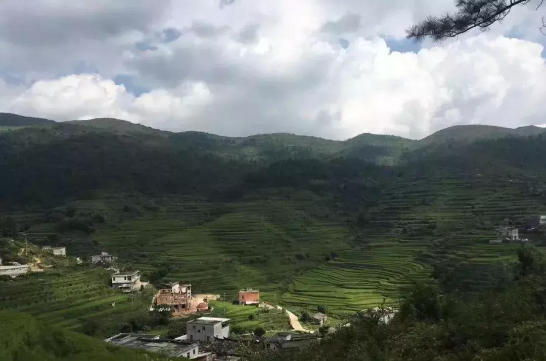 铁观音的产地及历史,铁观音产地安溪是什么地方