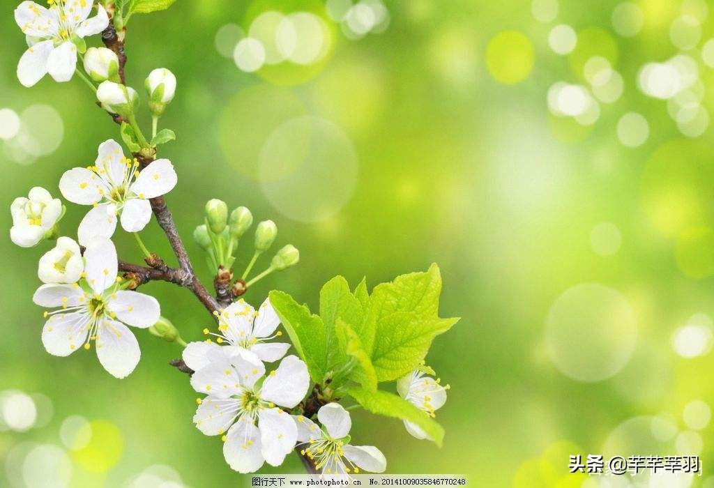 做手工活挣了二十几块钱,做手工活在家大概一天能挣多少钱