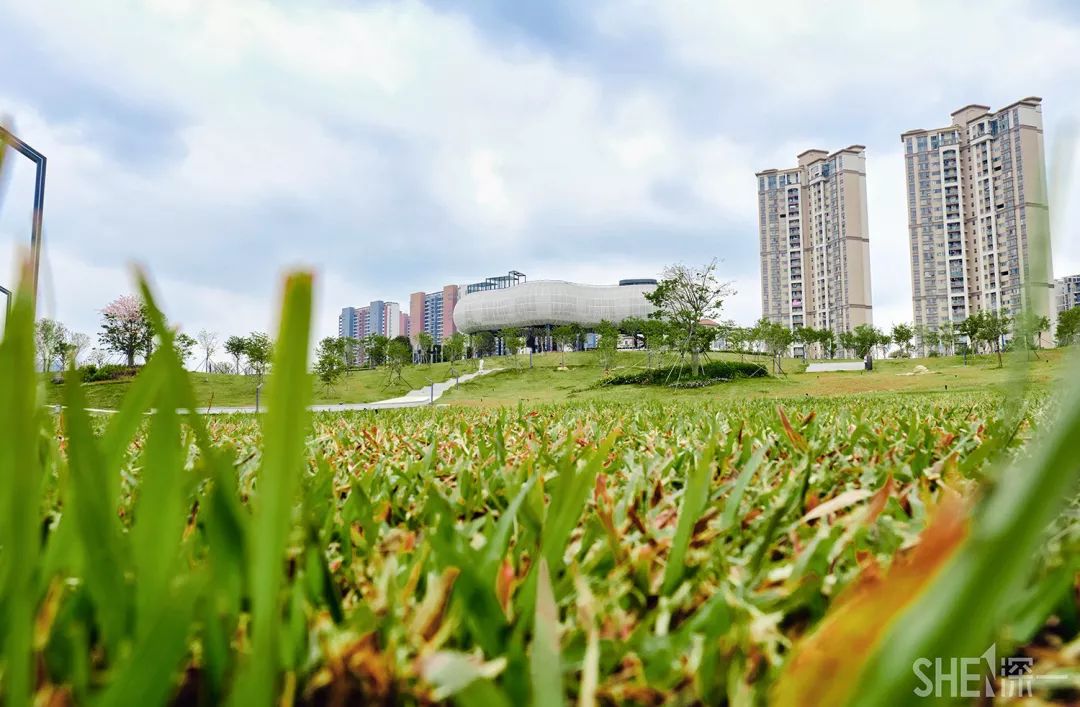 龙华新公园在哪里,深圳龙华区免费的公园