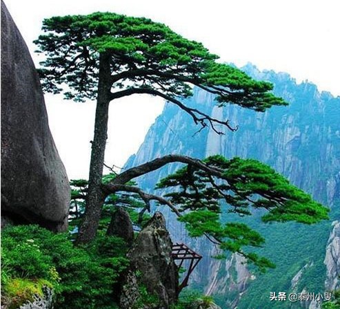 黄山旅游攻略最新,大美黄山旅游胜地