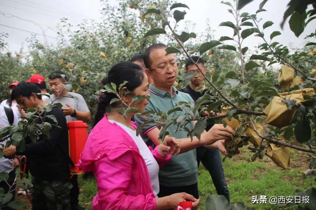 我市大学生研发脱贫“黑科技”上热搜，苹果敷“面膜”更好吃