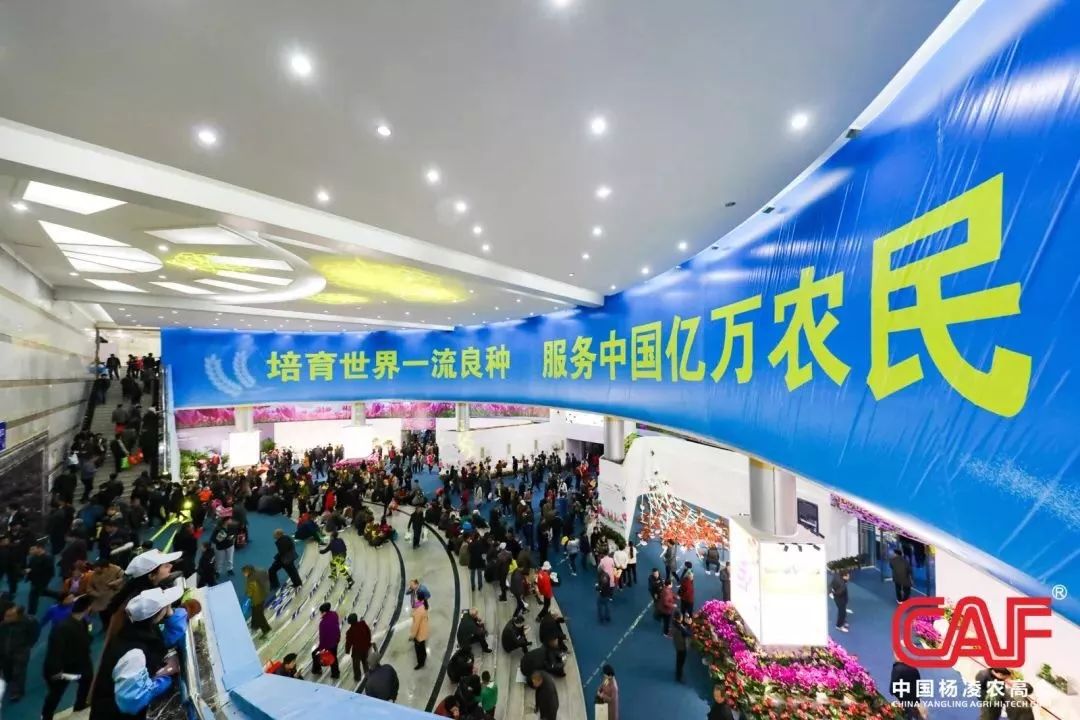 杨凌以后还有发展吗,杨凌未来十五天天气