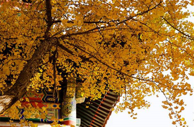 人生输赢经典语录,人生大事的经典语录分析