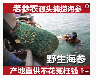 affiliate是一个平台吗,跨境电商黑五选品