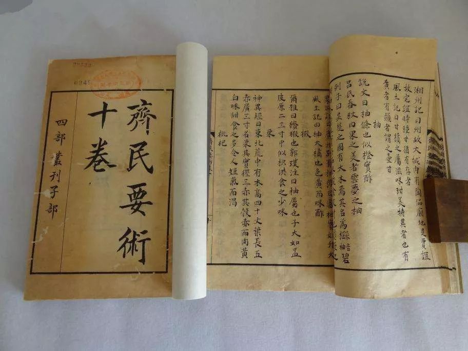 鱼露有多美味,鱼露正宗味道