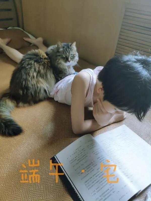 双减考试成绩分析,双减后学校是如何呈现考试成绩