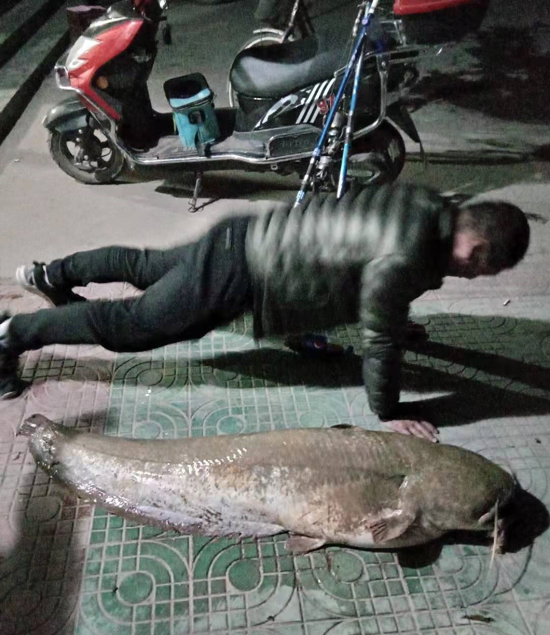 怎么钓鲶鱼,大口鲶,江鲶,鲶巴郎,鲶胡子