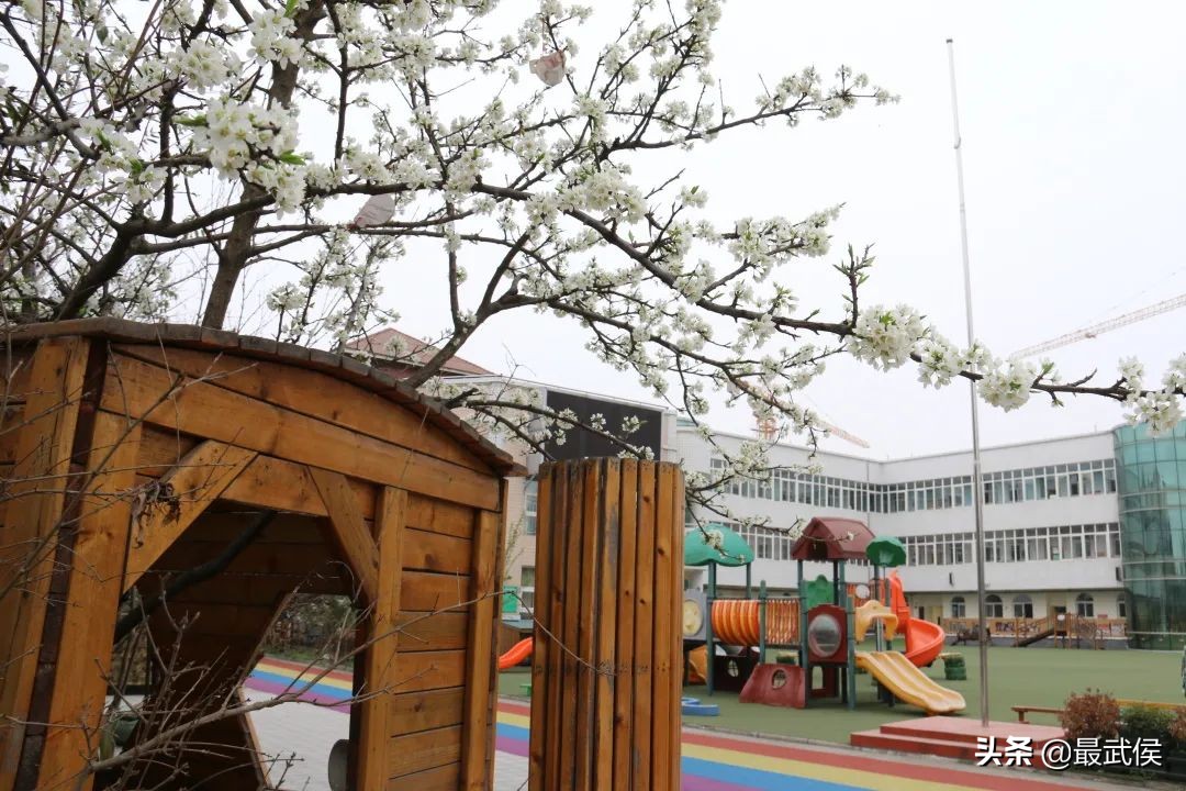 孩子开学生活步入正轨视频,开学后的校园生活