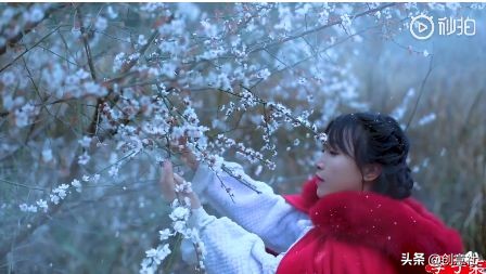 李子柒早期作品村姑女汉子形象,最美网红李子柒