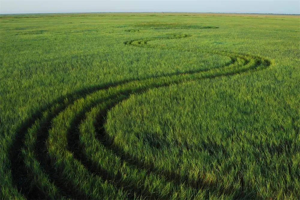 全国首批拟旅游乡村吉林8个乡村,吉林省乡村入围旅游重点村