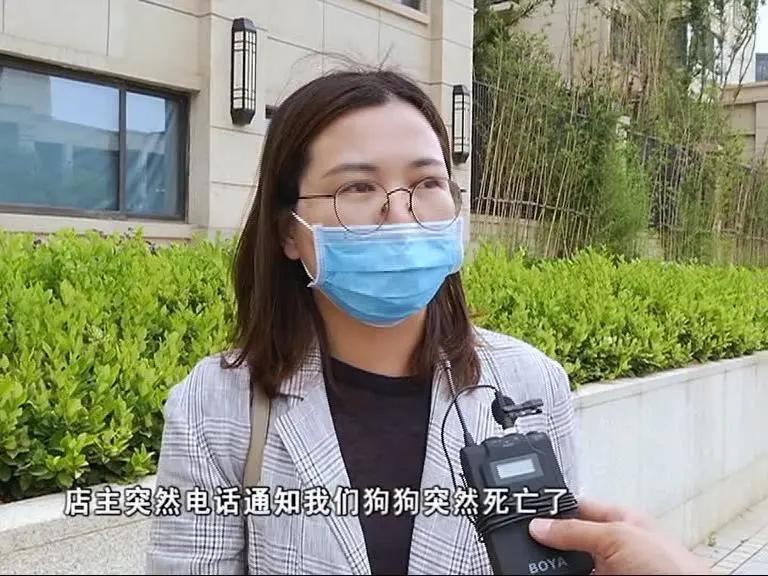 寄养“恶霸”离奇暴毙，医生说，可能是热的……