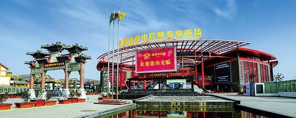 药材市场早报:广藿香、野菊花、金银花、浙贝母、紫菀、沙苑1.9