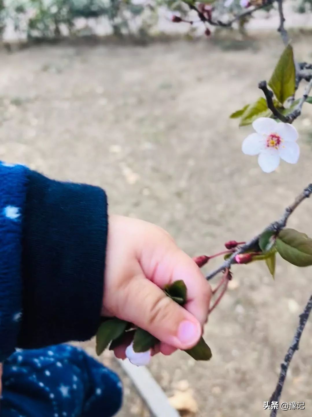 把故事讲给别人听,把故事讲给后来的人听