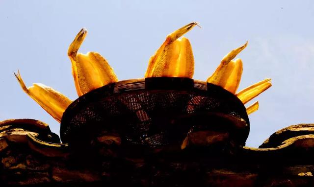 浙江宁波小众景点,浙江省宁波市黄金海岸