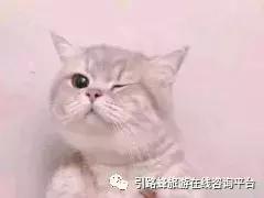 玩转京城北京,游北京游记