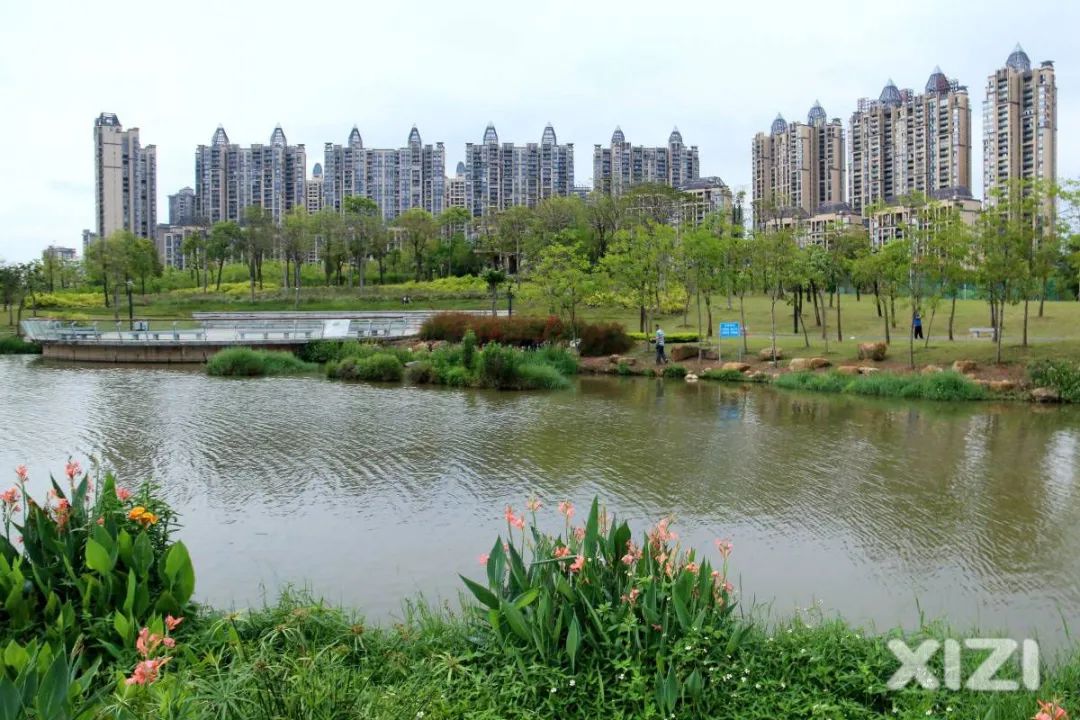 美丽鹅城,最美鹅城