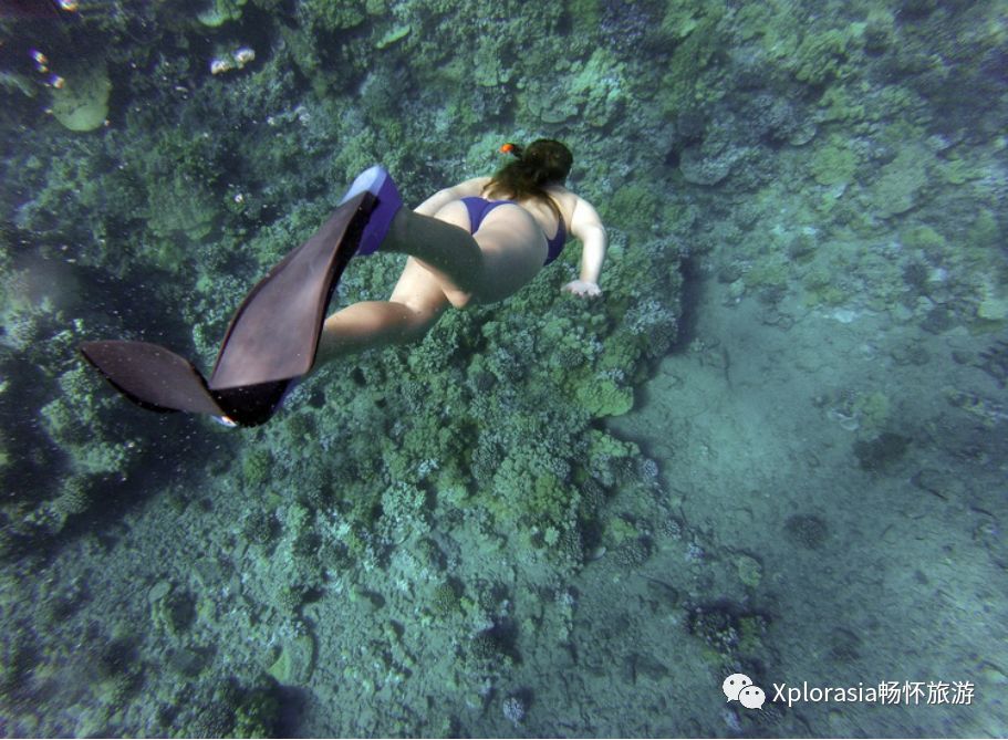 行程攻略|大马三地（柔佛+刁曼岛+吉隆坡）经济畅玩狂欢不打烊