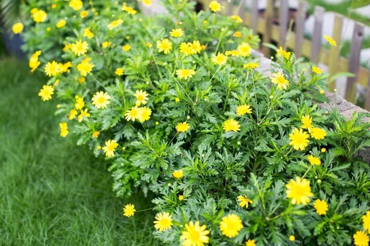 第七届园丁奖,第六届园丁奖奖励