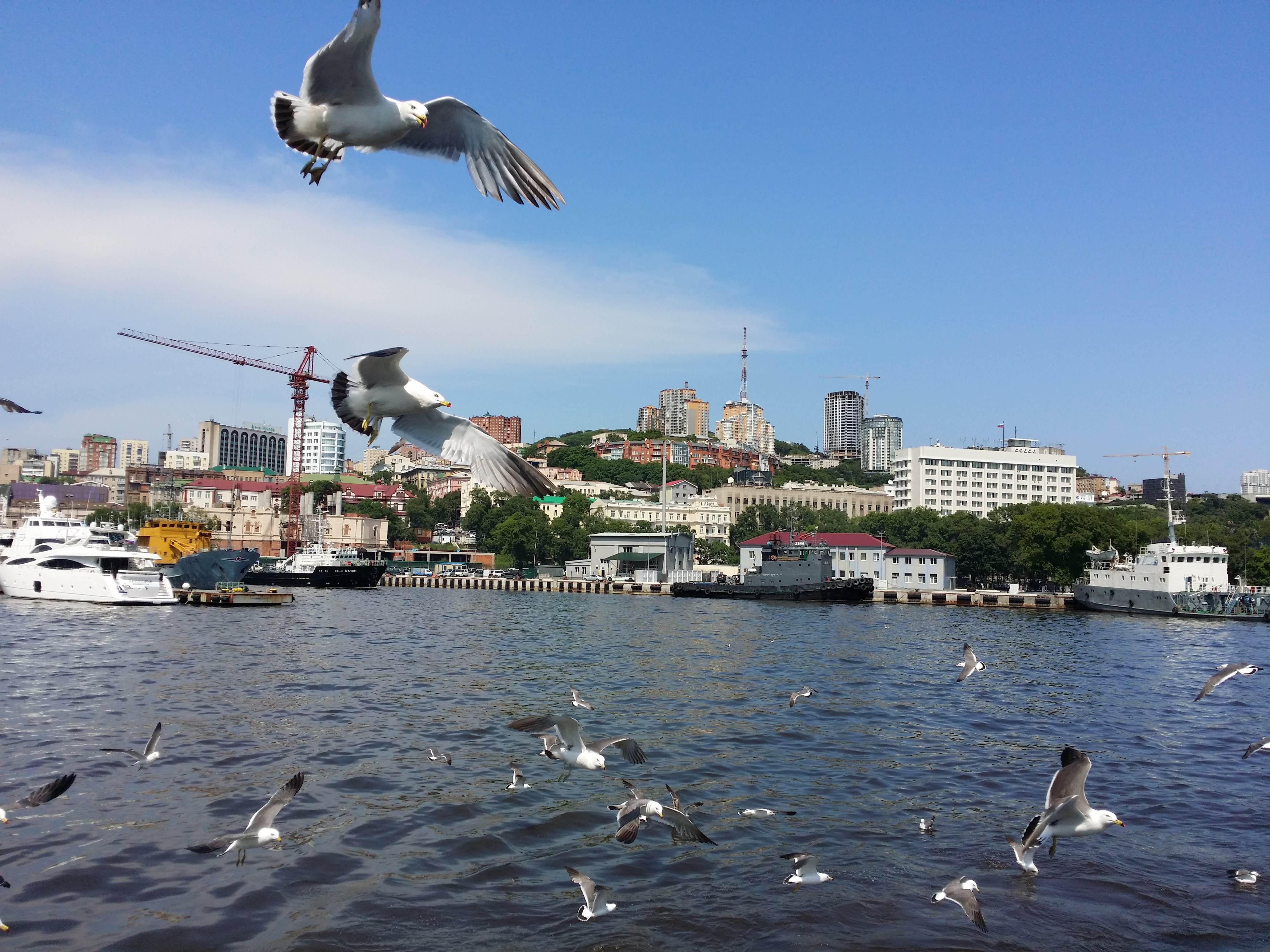 俄罗斯新西伯利亚地理特点,纬度相近气温差异大的原因