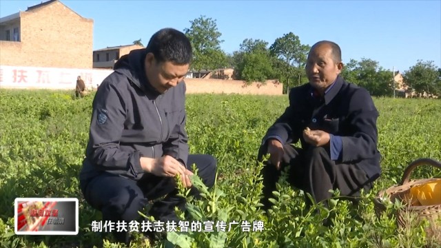 临渭区阎村镇最新消息,渭南临渭区专项整治