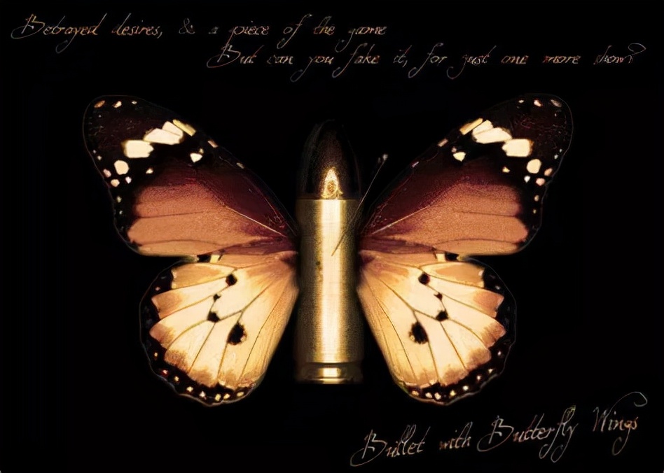 南瓜歌曲最火的哪几首,南瓜乐队最棒的歌曲