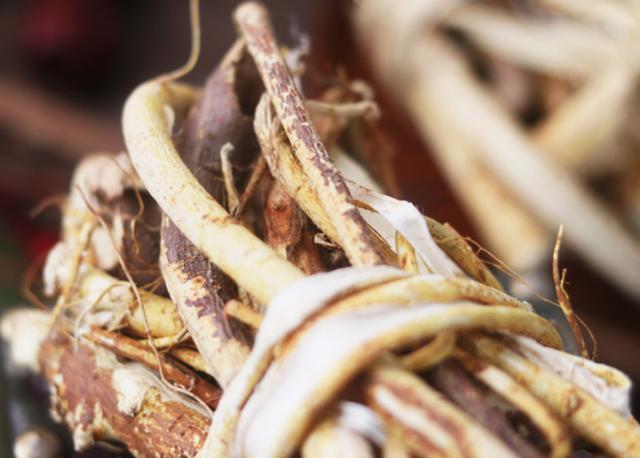 最具有珍稀药用价值的树,山上野生名贵的树