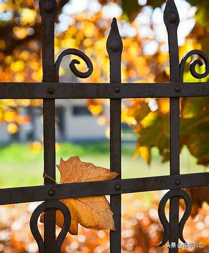 想要孩子必须干的事,想要孩子心灵手巧