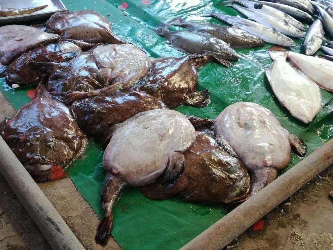 山东蓬莱仙境的地方,人间仙境在烟台