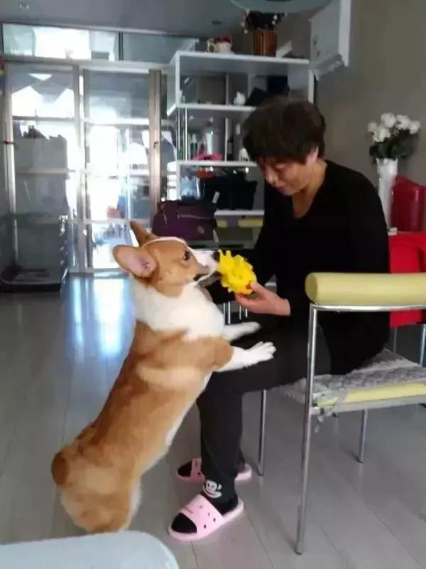 一个真实的关于父亲的感人故事,一个真实的关于父亲的故事