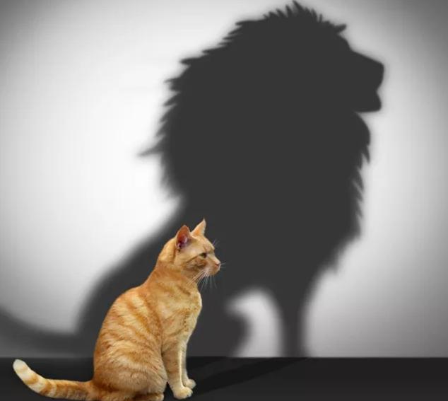 如何迅速铺货到终端,终端业务员铺货话术