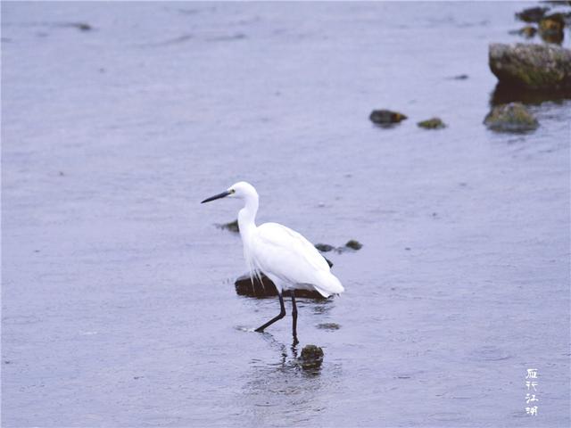 韩国之行领略异域风情,韩国自驾游感受