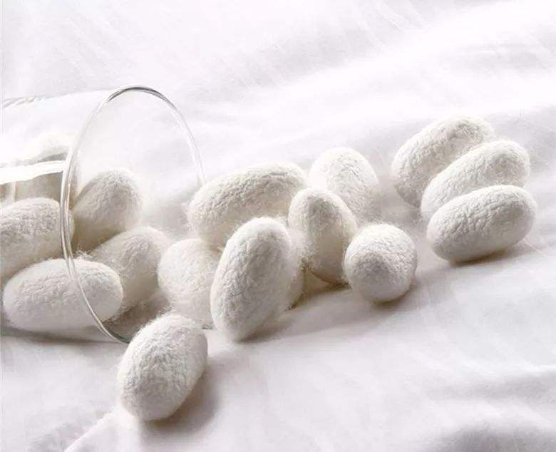 市场现场做的蚕丝被有假的吗,走进市场300字三年级