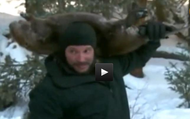 河狸皮毛的优点,河狸皮毛十分名贵