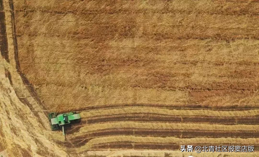 搜一搜就知道了,搜一搜商家会怎么样