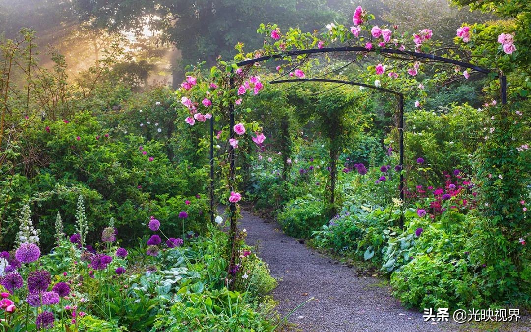 国际花园摄影大赛图片,那些美丽的花园