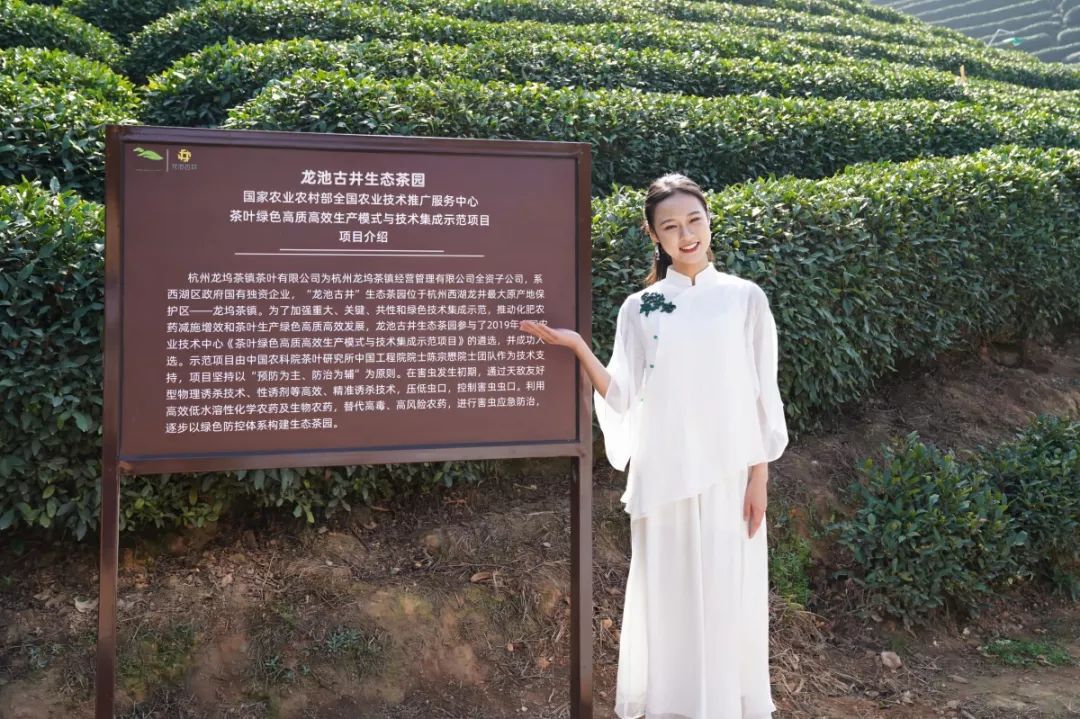 2020年中华茶奥会形象代言人是位浙大姑娘：一位漂亮的实力派！