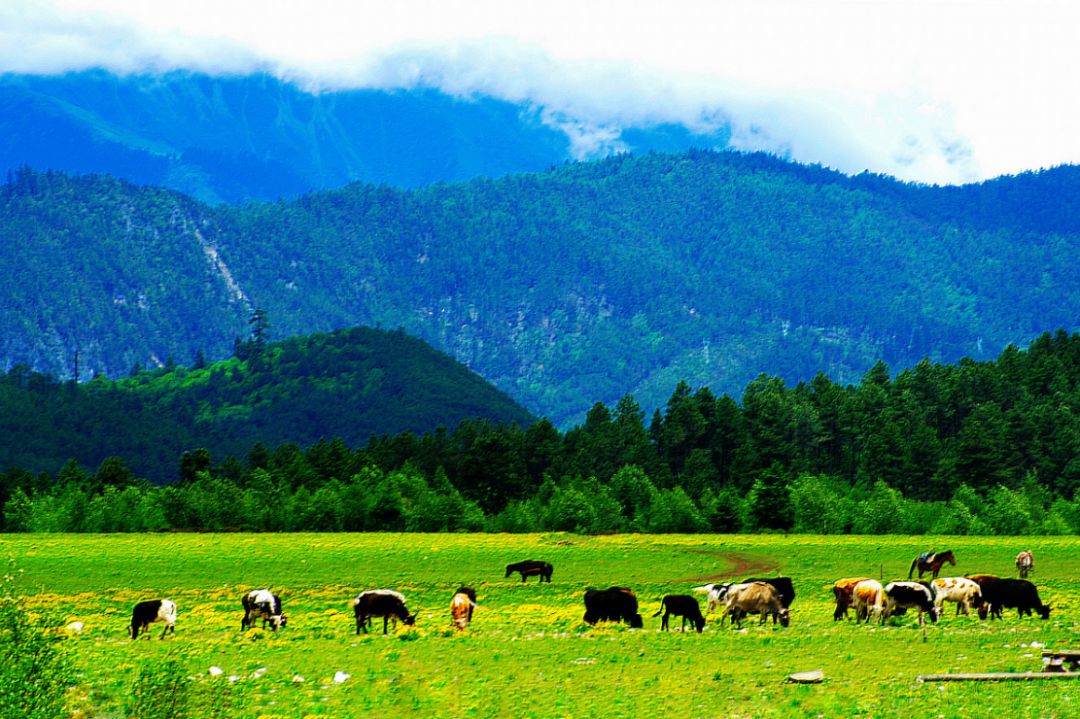 去云南自驾游有哪些景点最美,云南最美打卡景点