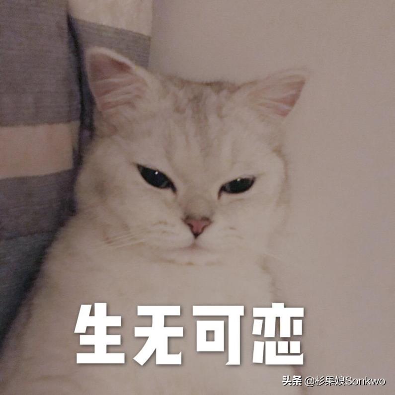 我有张黑卡,看你天赋异禀,封号的风险就给你背了