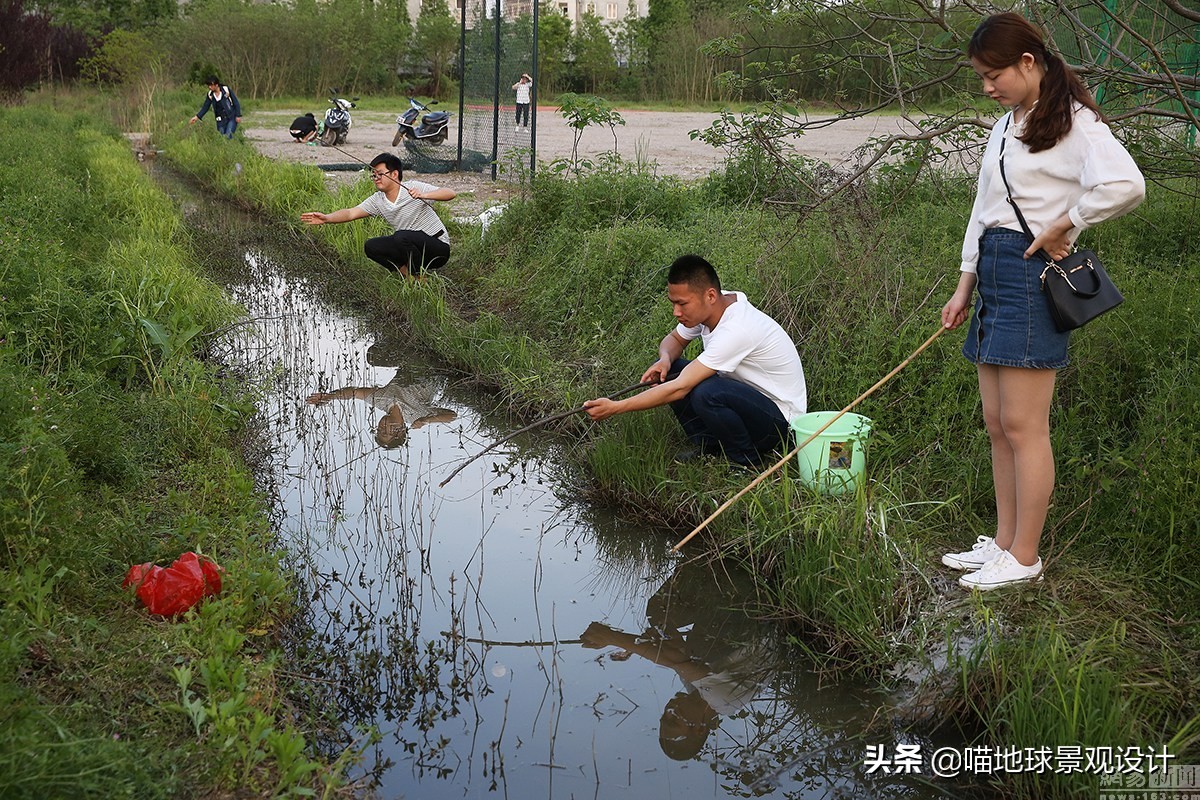 美丽乡村的盈利项目,美丽乡村项目的成功案例