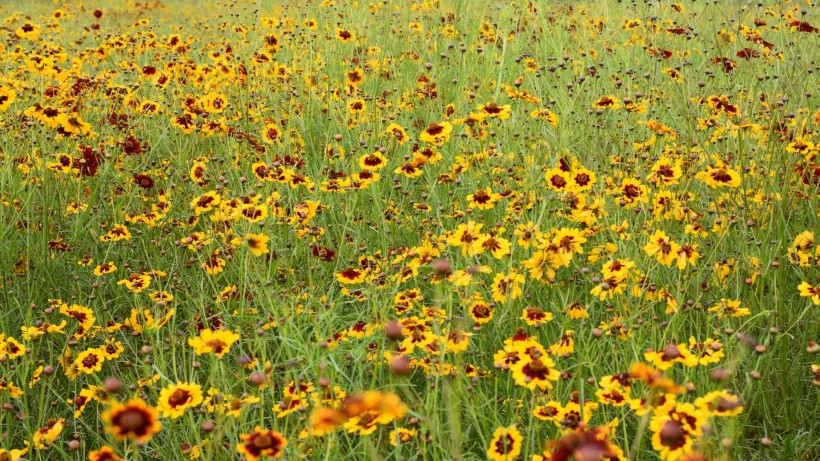 心理学关于死亡,心理学上害怕怎么安慰